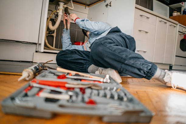 Best Sprinkler Systems  in Zimmerman, MN