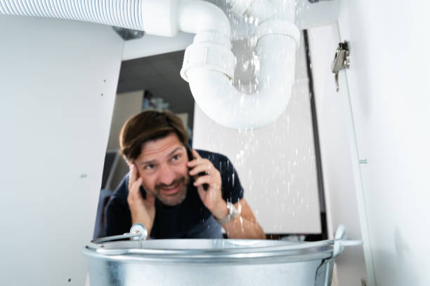 Best Pipe Repair Near Me  in Zimmerman, MN