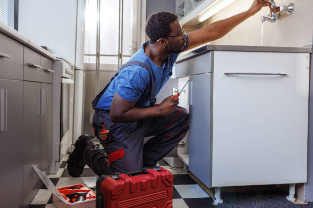 Best Sewer Cleaning Services  in Zimmerman, MN