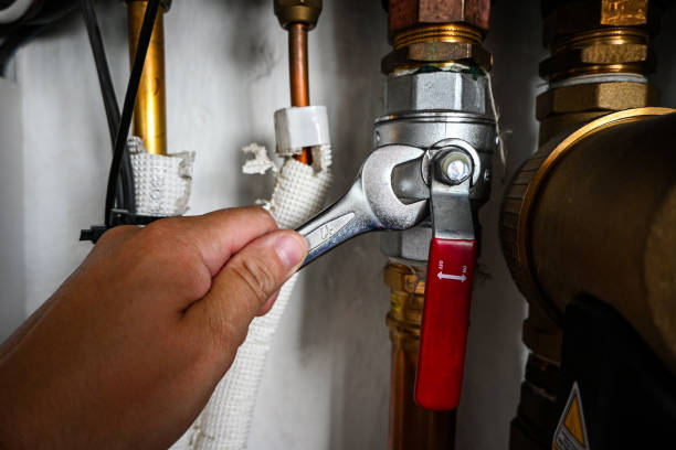 Best Affordable Plumbing Services  in Zimmerman, MN